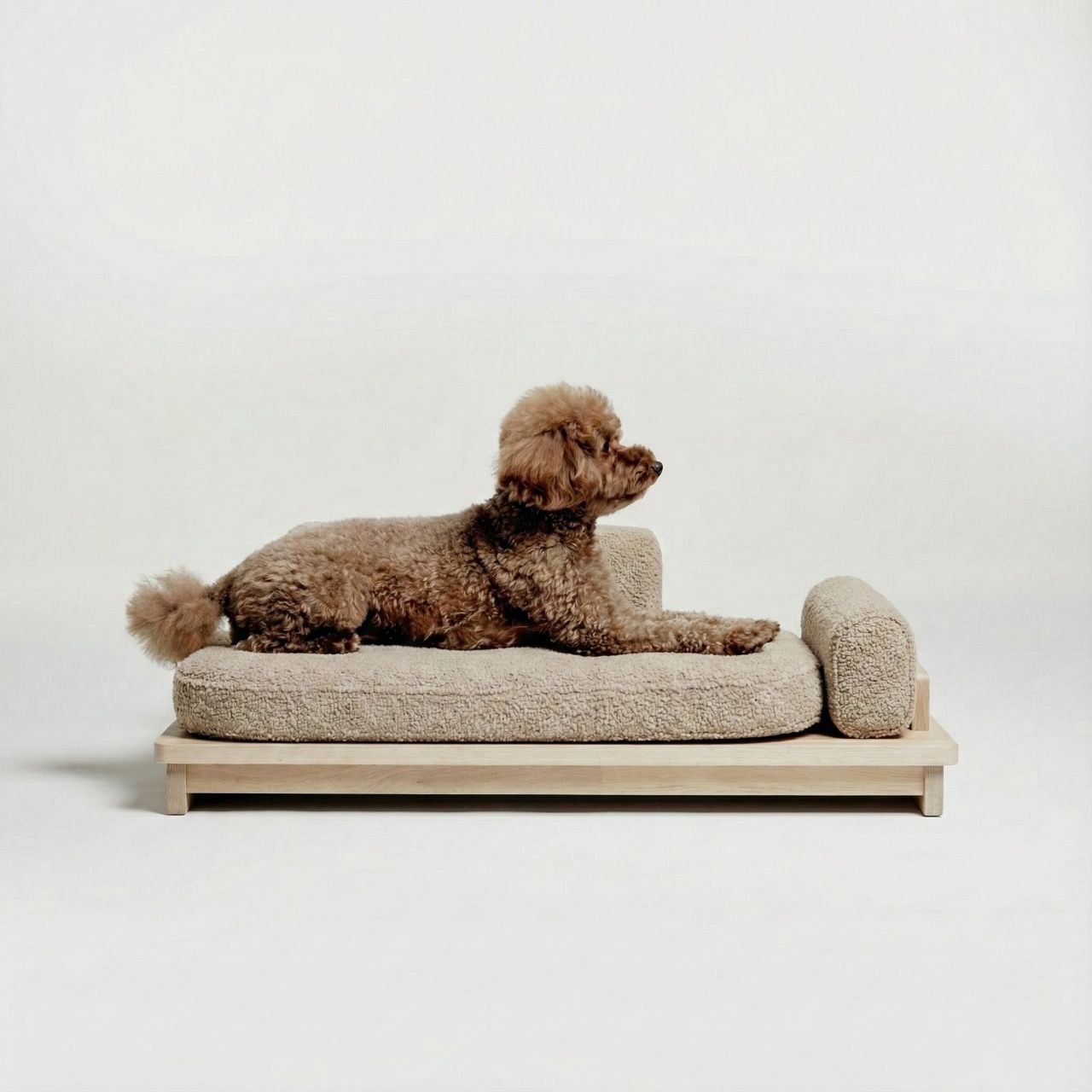 Orto-1 Orthopedic Pet Sofa Bed