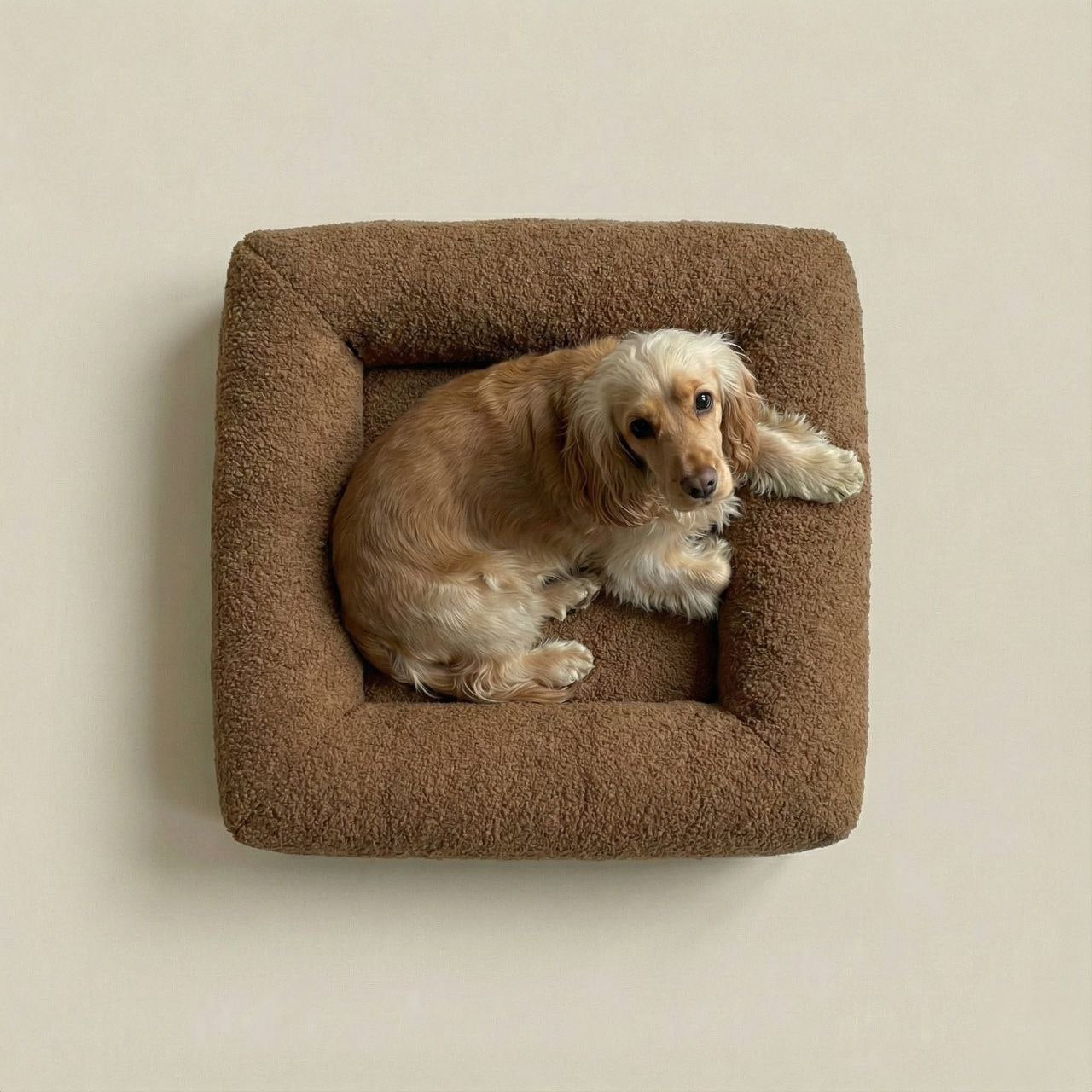 Orto-4 Orthopedic Pet Sofa Bed