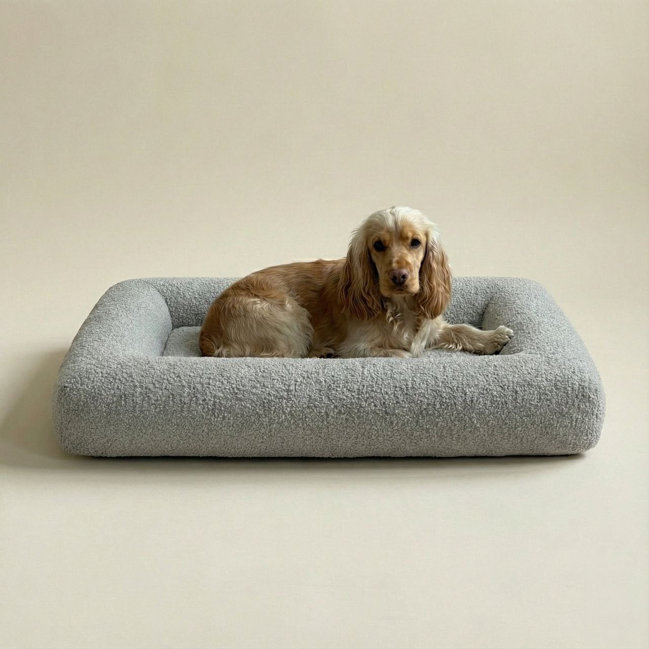 Orto-5 Orthopedic Pet Sofa Bed